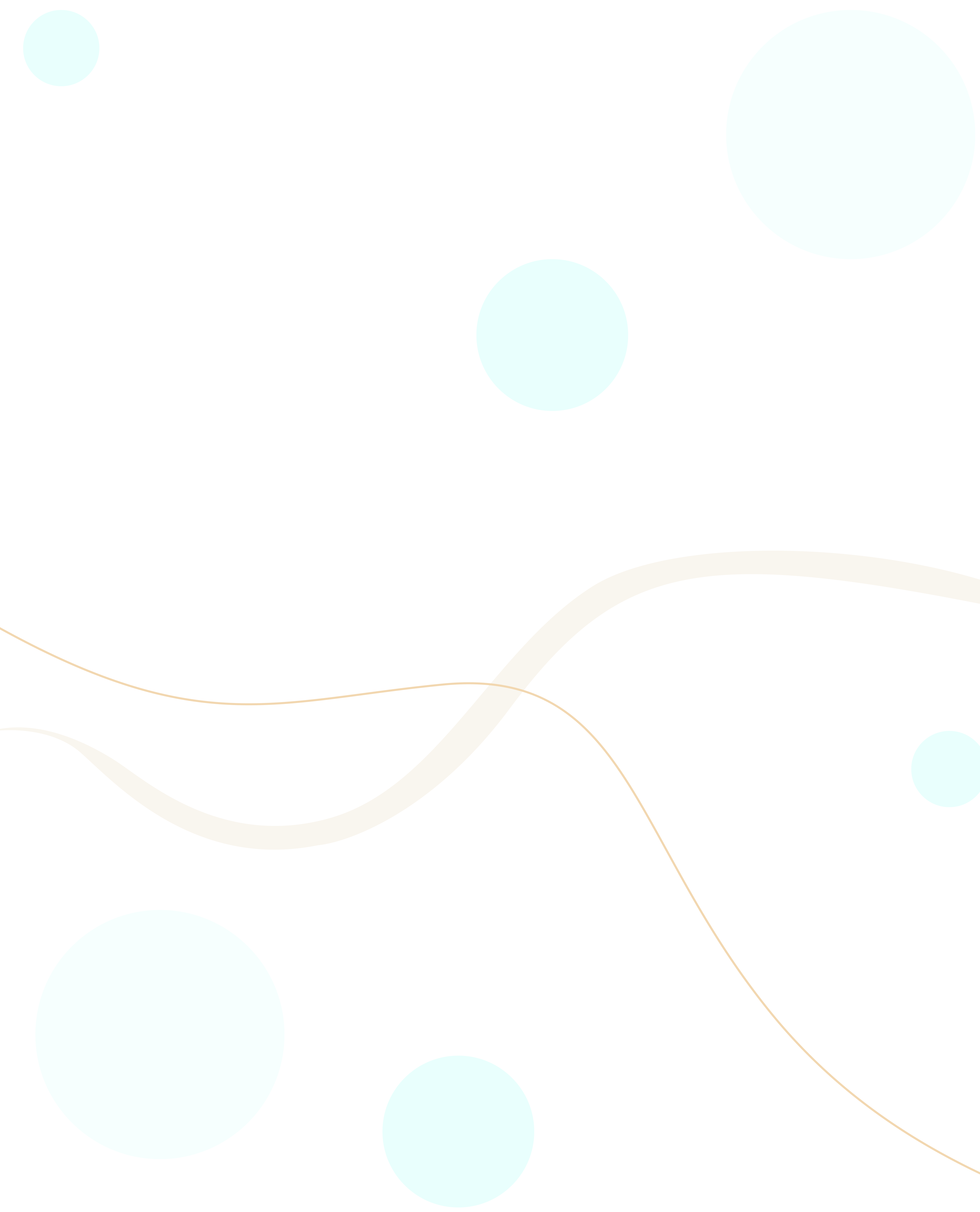 layout